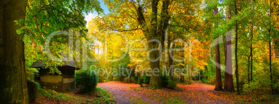 Malerisch bunter Herbst in einem schönen Naturpark bei weichem