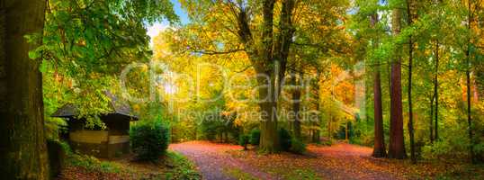 Malerisch bunter Herbst in einem schönen Naturpark bei weichem