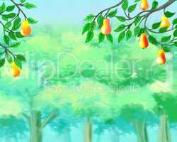 Ripe Pears on the Background of a Summer Garden