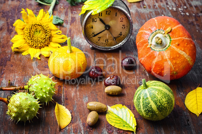 Season of autumn harvest