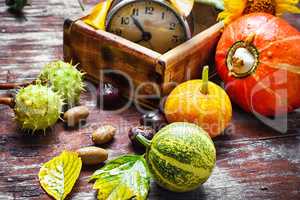 Season of autumn harvest