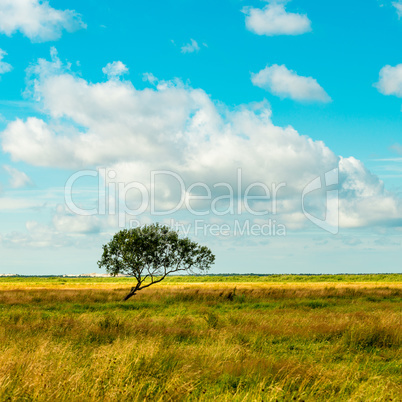 slowinski landscape