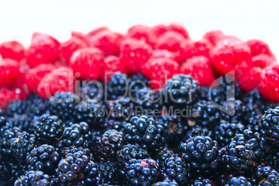 blackberry and raspberry