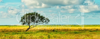 slowinski landscape