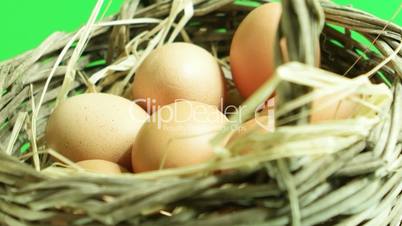 Natural eggs rotating in basket