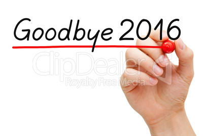 Goodbye Year 2016