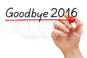 Goodbye Year 2016