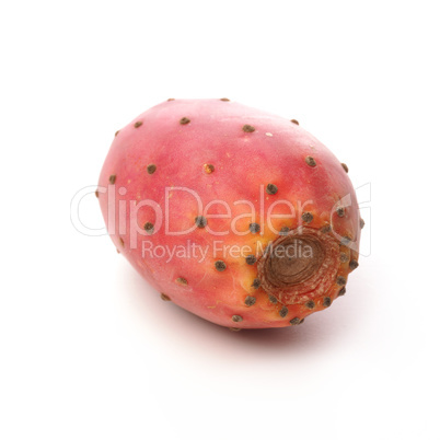 Close up of a prickly pear