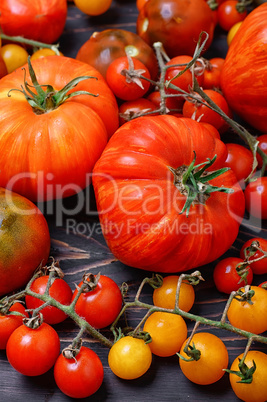 Assortment of fresh tomatoes