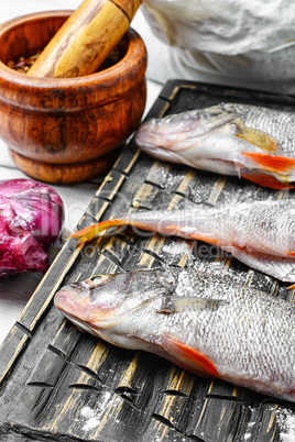 Sea bass on the kitchen table