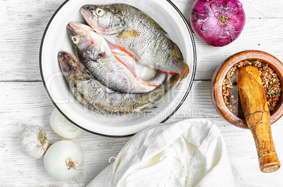 Sea bass on the kitchen table