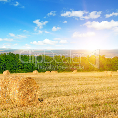Straw bales on a wheat field and sunrise on sky