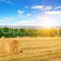 Straw bales on a wheat field and sunrise on sky