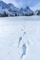 Alpine path of footsteps in the snow