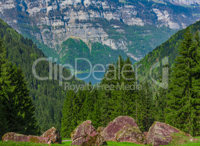 Mountain rocks with forest in the background