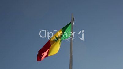 Textile flag of Senegal on a flagpole