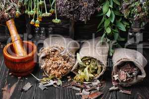 traditional medicinal herb