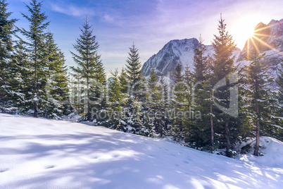 Sun rays over snowy alpine scene