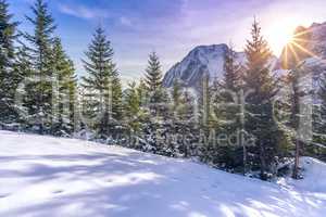 Sun rays over snowy alpine scene