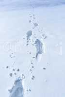 Winter background with footprints in the snow