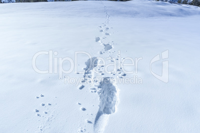 Winter scene with footsteps in the snow