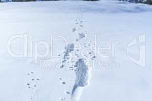 Winter scene with footsteps in the snow