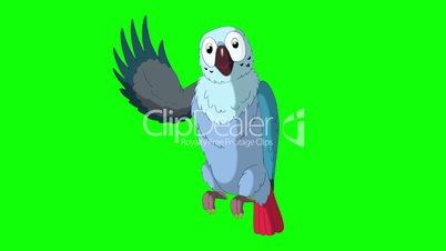 Blue Parrot Greets. Classic Disney Style Animation