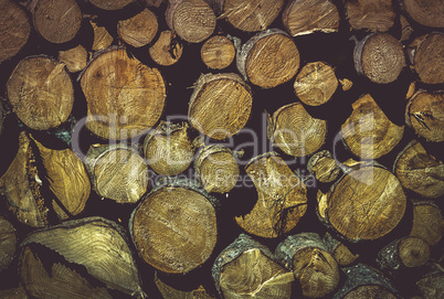 Wooden texture with pile of tree trunks