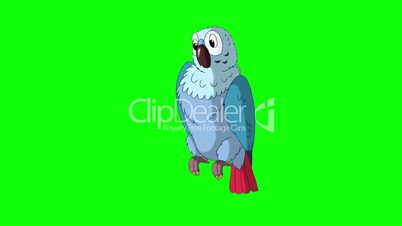 Blue Parrot Talking. Classic Disney Style Animation