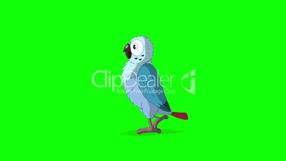 Blue Parrot Walks. Classic Disney Style Animation