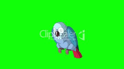 Blue Parrot Wakes Up. Classic Disney Style Animation
