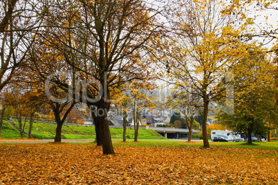 herbstlicher Park