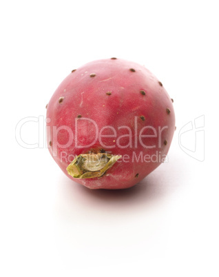 Prickly pear on a white studio background