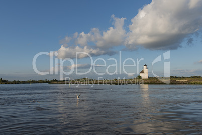 Landschaft an der Elbe