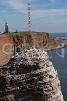 Helgoland in der Nordsee