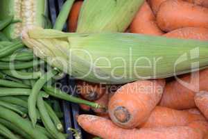Mais, Karotten und Bohnen