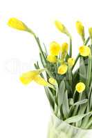 Yellow daffodils bouquet