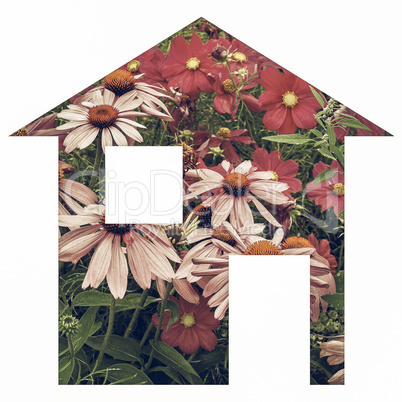 Flower house vintage