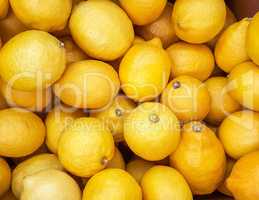 Background of yellow lemons.