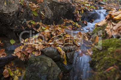 Beautiful Colorful Autumn