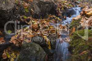 Beautiful Colorful Autumn