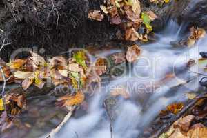 Beautiful Colorful Autumn