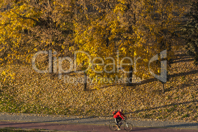 Beautiful Colorful Autumn