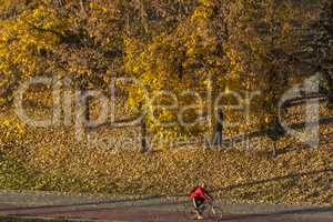 Beautiful Colorful Autumn