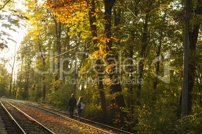 Beautiful Colorful Autumn