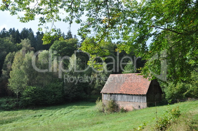 Hütte im Wald