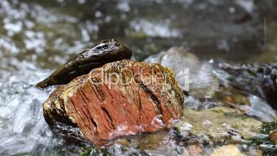 Stone in the stream of water