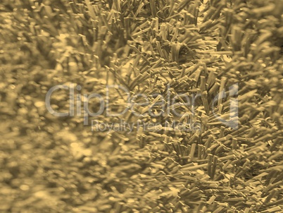 Artificial grass sepia