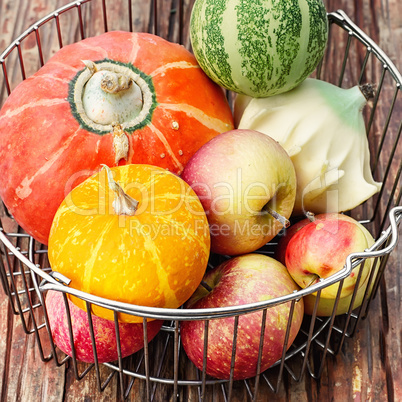Autumn vegetables and fruits
