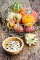 Autumn vegetables and fruits